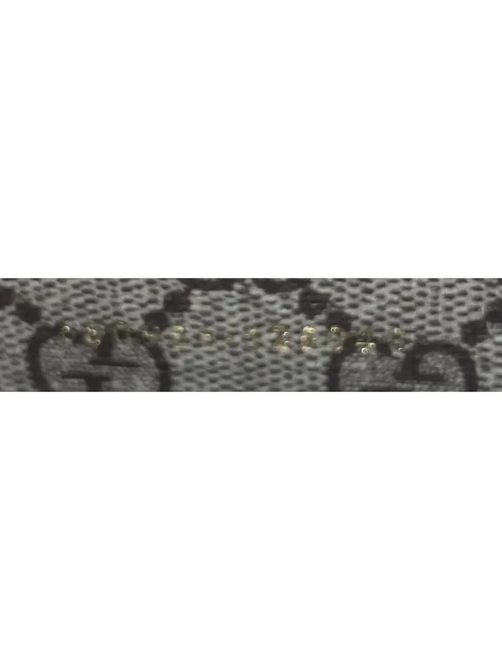 Gucci Exquisite Tote Printed Gg Coated #340632G15B